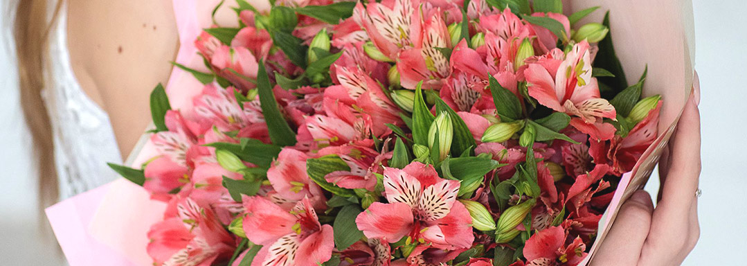 Альстромерии